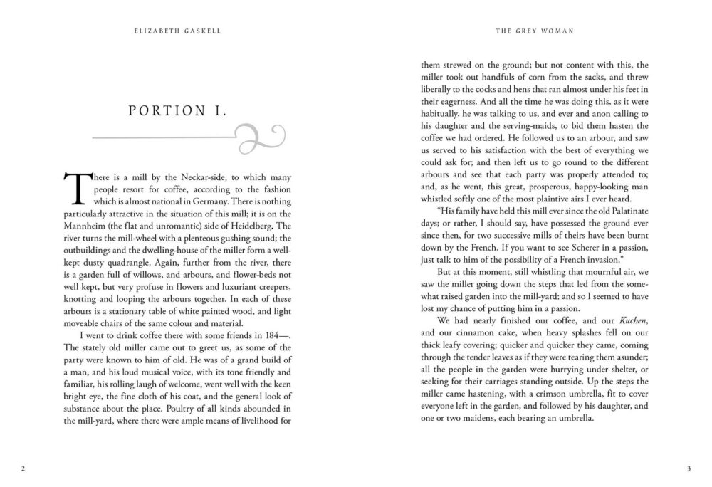 The Grey Woman - Image 3
