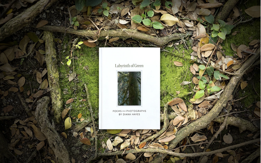 A Breathtaking Collection by Diana Hayes