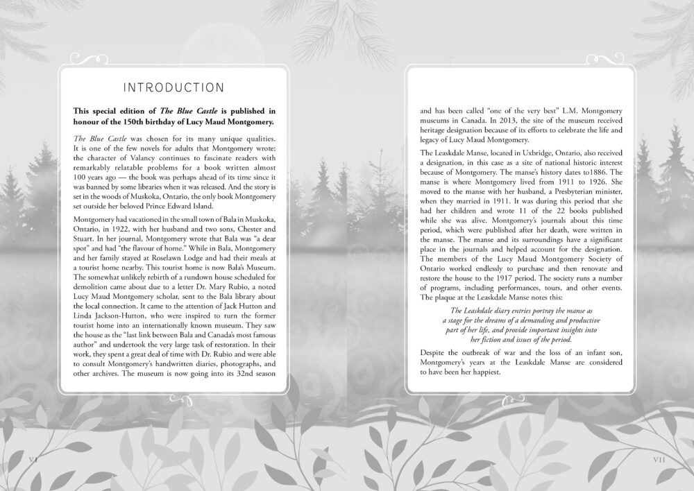 The Blue Castle - Image 3