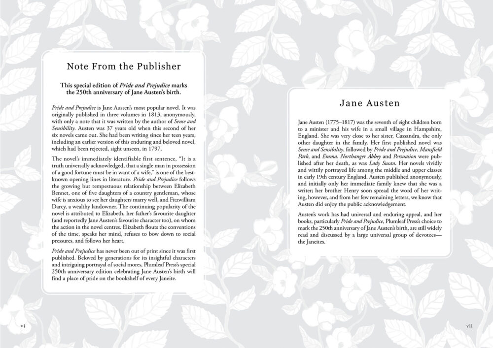 Pride and Prejudice - Image 5